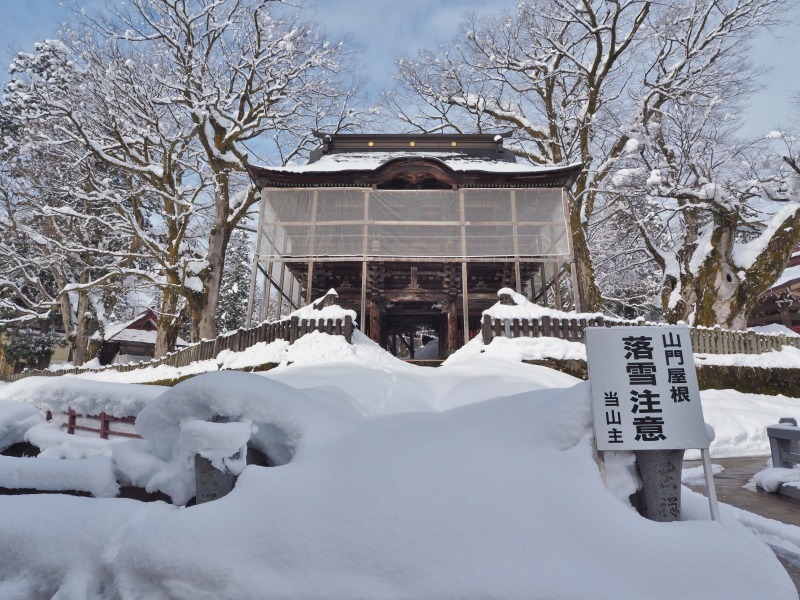 境内の大欅に雪害がありました!_c0336902_19350539.jpg