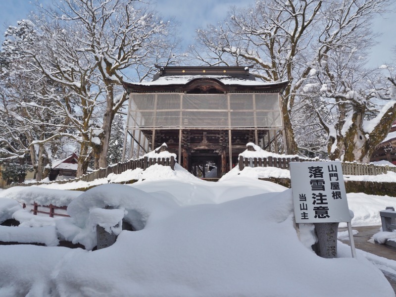 境内の大欅に雪害がありました！_c0336902_19350539.jpg