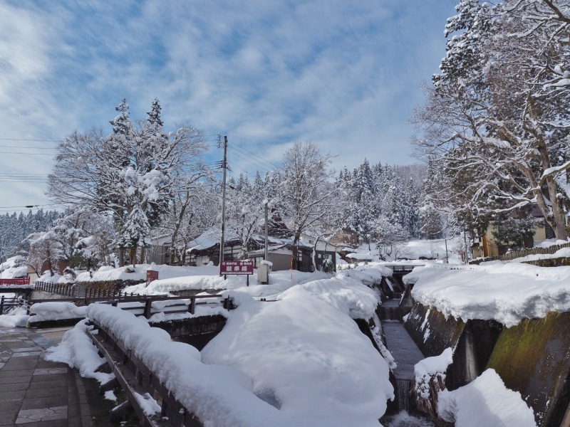 境内の大欅に雪害がありました!_c0336902_19350887.jpg