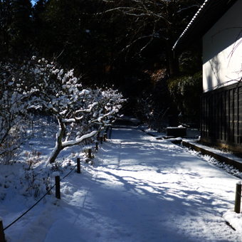 雪の北鎌倉_c0195909_12562291.jpg