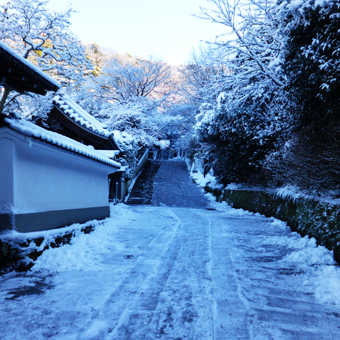 雪の北鎌倉_c0195909_12570560.jpg