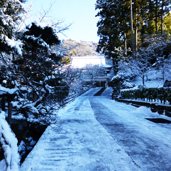 雪の北鎌倉_c0195909_12571649.jpg