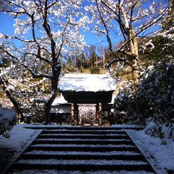 雪の北鎌倉_c0195909_12572154.jpg