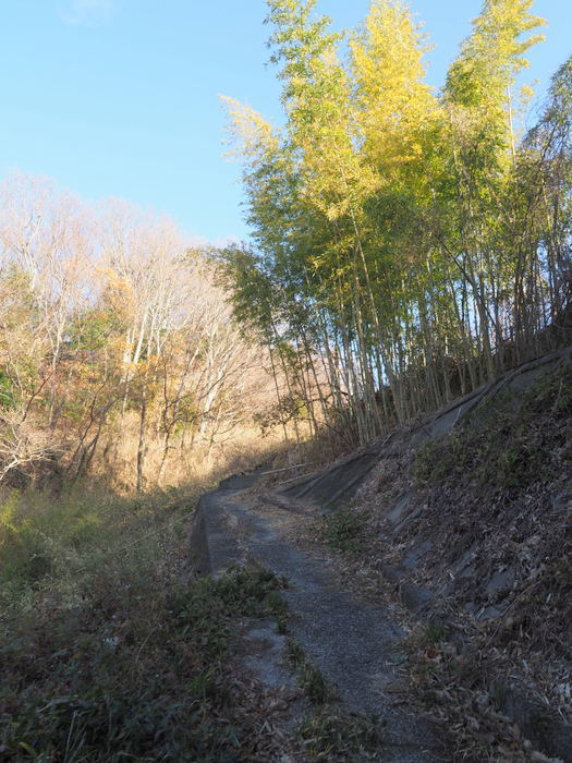 岩国山登山(椎尾八幡宮登山口ー岩屋観音ー周回)_c0116915_00390072.jpg