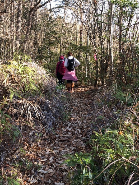 岩国山登山(椎尾八幡宮登山口ー岩屋観音ー周回)_c0116915_00451741.jpg