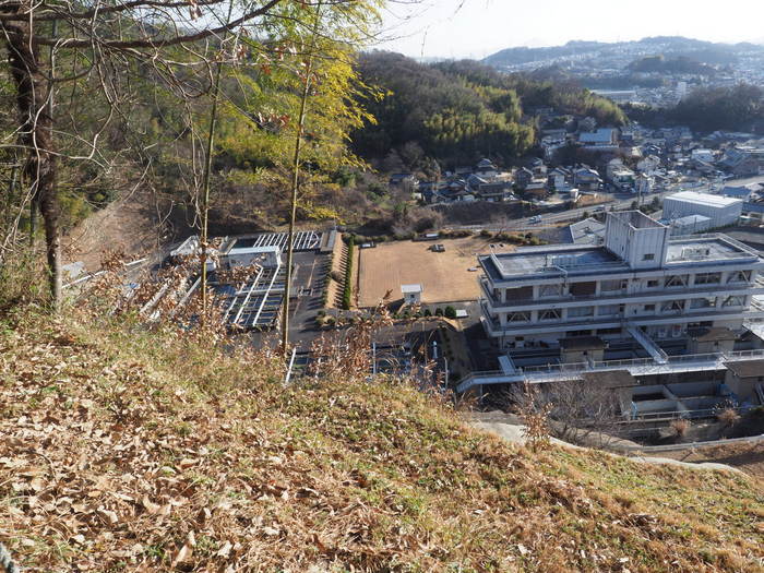岩国山登山(椎尾八幡宮登山口ー岩屋観音ー周回)_c0116915_00470184.jpg