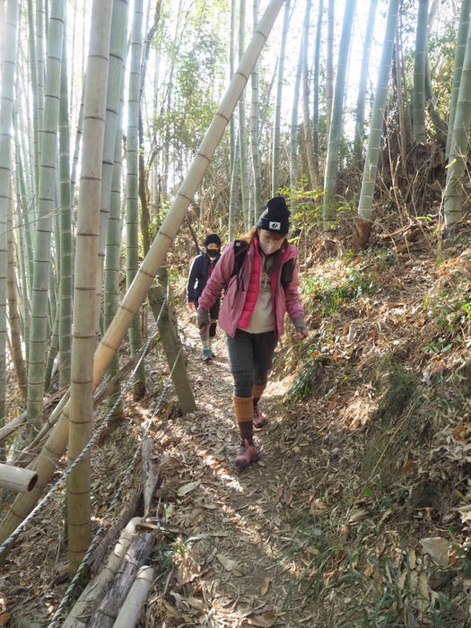 岩国山登山(椎尾八幡宮登山口ー岩屋観音ー周回)_c0116915_00475304.jpg
