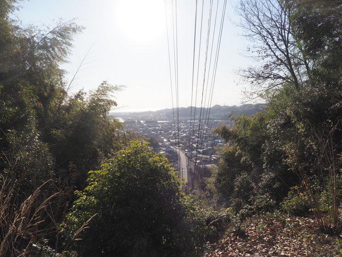 岩国山登山(椎尾八幡宮登山口ー岩屋観音ー周回)_c0116915_00505647.jpg