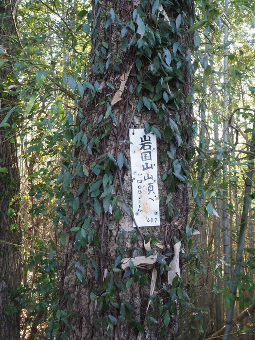 岩国山登山(椎尾八幡宮登山口ー岩屋観音ー周回)_c0116915_00511514.jpg