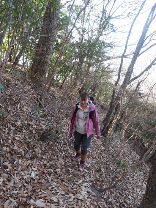 岩国山登山(椎尾八幡宮登山口ー岩屋観音ー周回)_c0116915_00523197.jpg