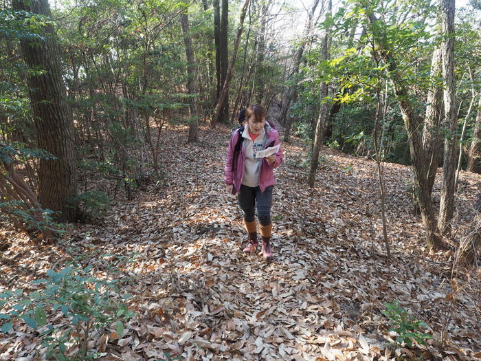 岩国山登山(椎尾八幡宮登山口ー岩屋観音ー周回)_c0116915_00525387.jpg