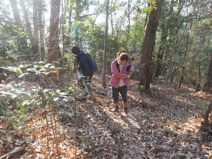 岩国山登山(椎尾八幡宮登山口ー岩屋観音ー周回)_c0116915_00530887.jpg