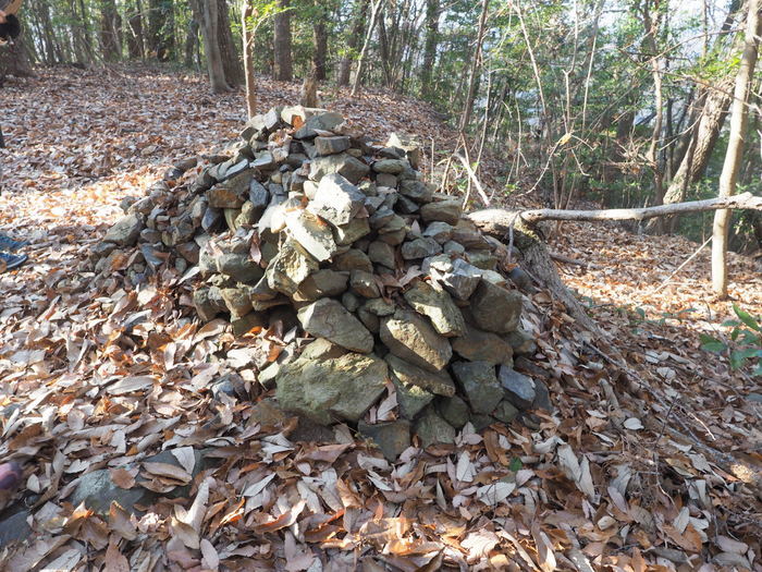 岩国山登山(椎尾八幡宮登山口ー岩屋観音ー周回)_c0116915_00532660.jpg