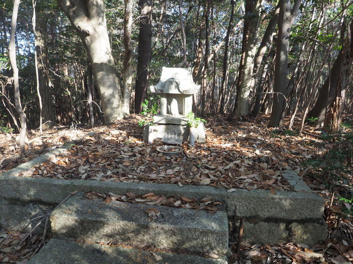 岩国山登山(椎尾八幡宮登山口ー岩屋観音ー周回)_c0116915_00573532.jpg