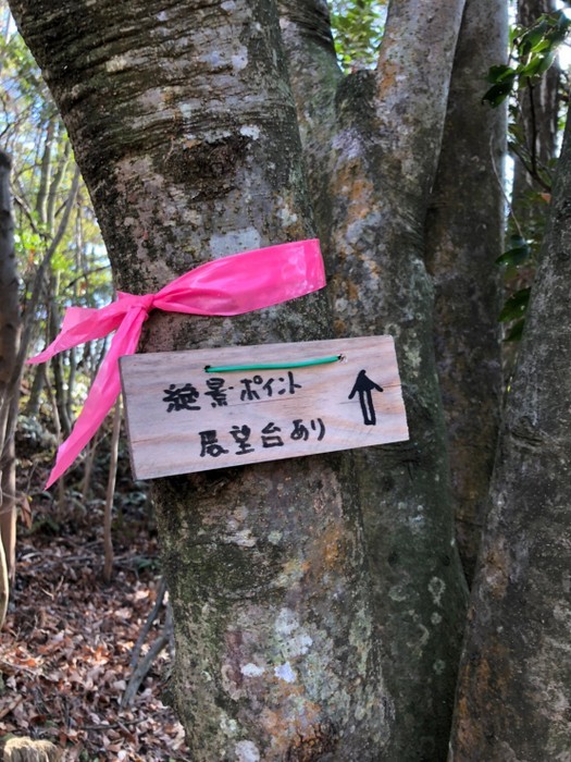 岩国山登山(椎尾八幡宮登山口ー岩屋観音ー周回)_c0116915_01012235.jpg