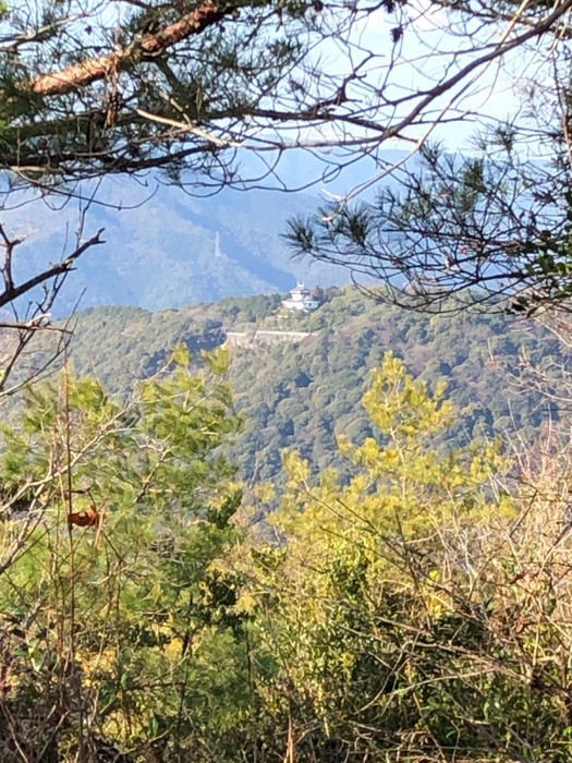 岩国山登山(椎尾八幡宮登山口ー岩屋観音ー周回)_c0116915_01024172.jpg