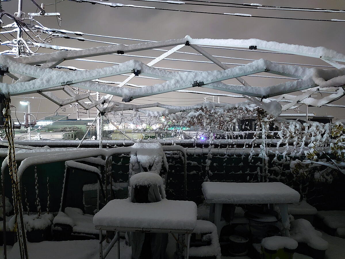 4年ぶりの「雪景色」と「雪レフ」_d0137627_22241272.jpg