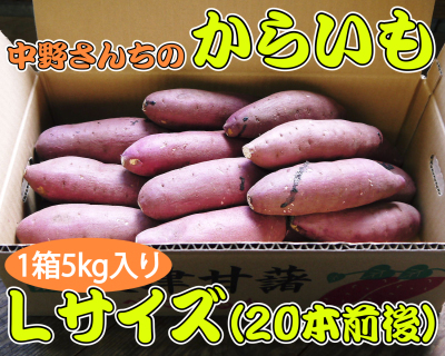 大人気！熊本県産サツマイモ『紅はるか』を1月18日(水)に出荷決定！数量限定で予約販売受付中！_a0254656_18074310.jpg