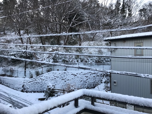 雪道で転倒 後頭部強打し大きなたんこぶ1 7 北鎌倉湧水ネットワーク
