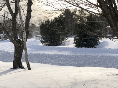 雪籠り_c0353373_23491981.jpg