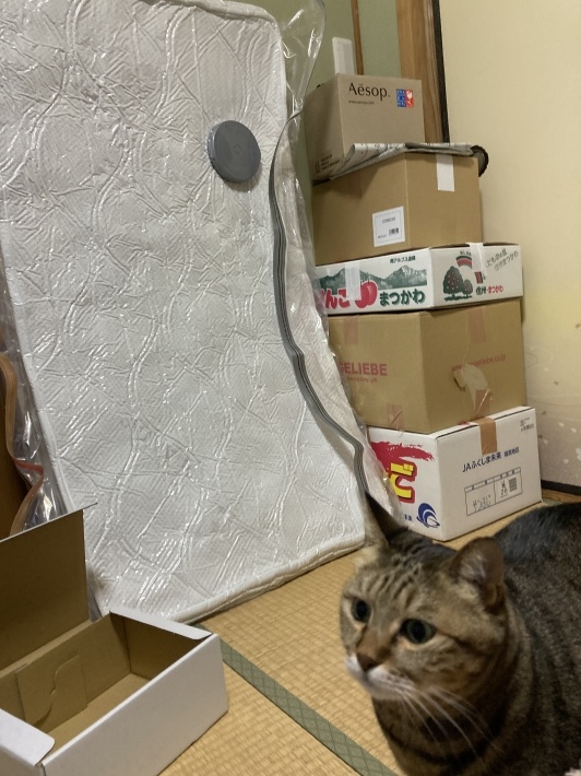 圧縮袋 ダイソン仕様_b0412708_07454020.jpeg