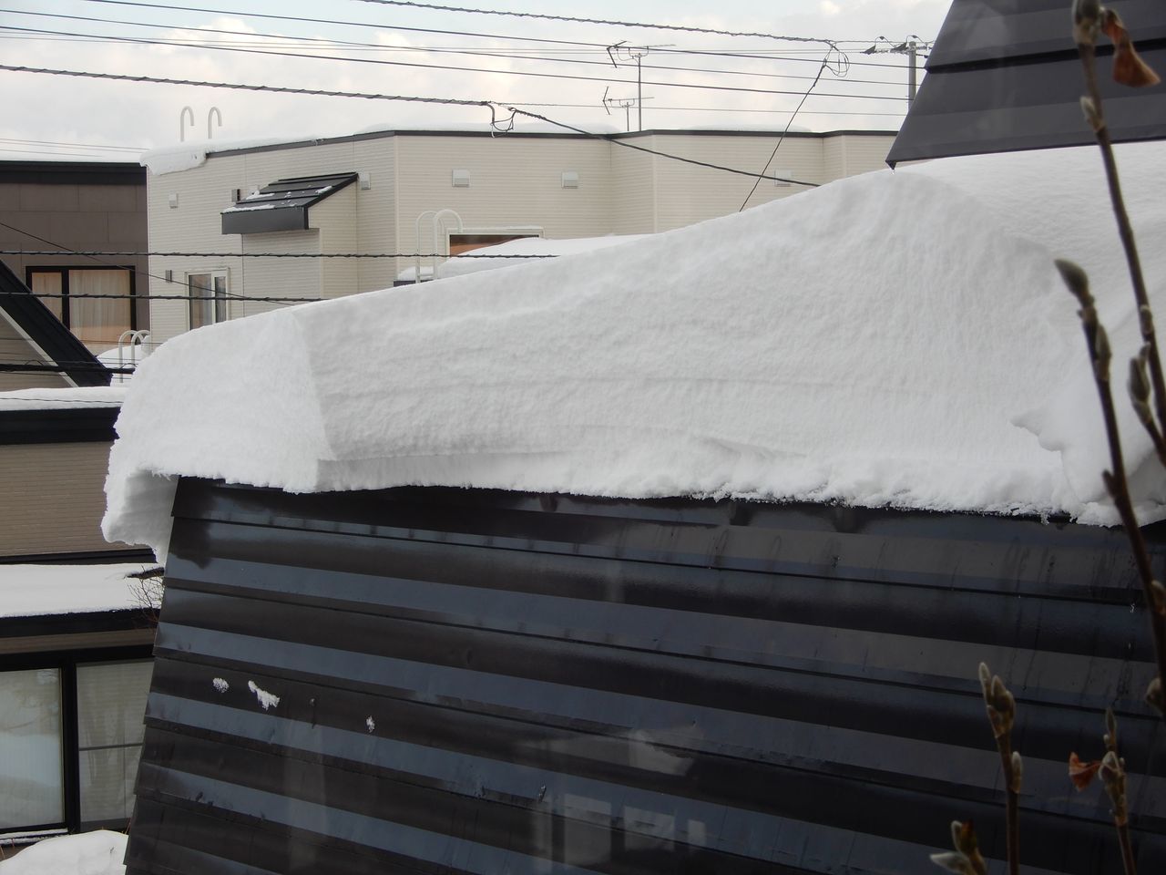 余裕で真冬日を抜ける_c0025115_21212617.jpg