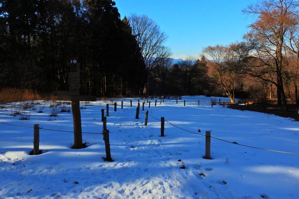 赤城自然園冬景色(1)・・・1月9日(日)今日の撮れたて_a0031821_16123015.jpg