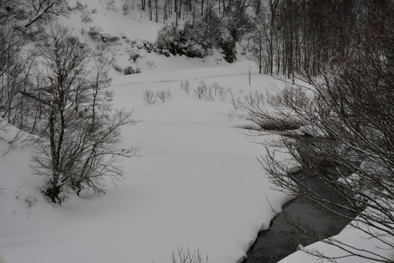 まゝに/1月の散策　雪景_d0342426_11025746.jpeg