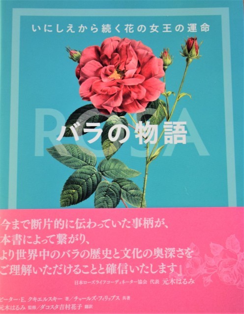 2月のバラ講座のご案内 日本ローズライフコーディネーター協会