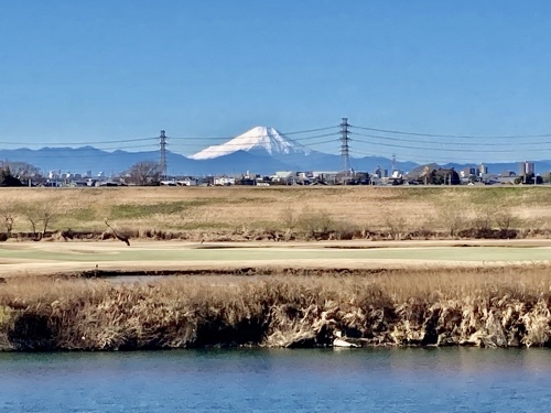 明けましておめでとうございます!_d0137764_11345550.jpeg