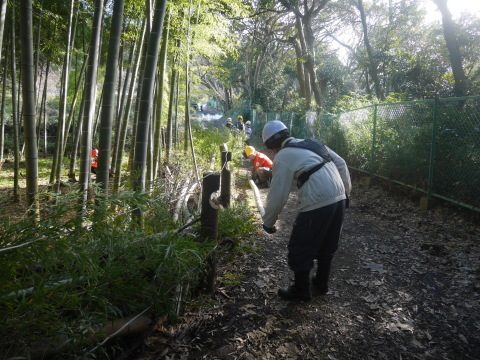 龍隠庵伐採現場確認と県有竹林間伐1・9六国見山手入れ（上）_c0014967_18103108.jpg