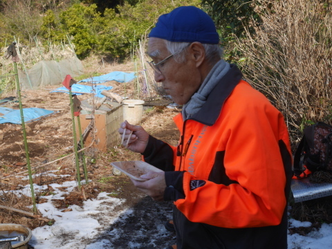 鎌倉大根の辛み餅＆ピィチャン登場1・9六国見山手入れ（下）_c0014967_18540613.jpg