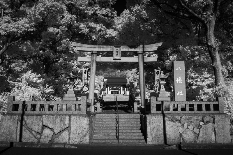 氏神さま初詣コンプリート_d0353489_21021625.jpg