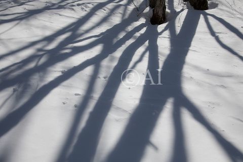 Still far away_a0194990_15162845.jpg