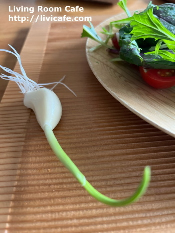 お味見の野菜料理_e0040957_14490358.jpeg