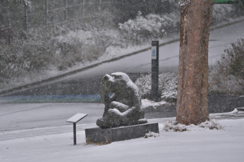 ポポの雪、みんなの雪、ほのぼの広場に白い雪_a0164204_07334690.jpg