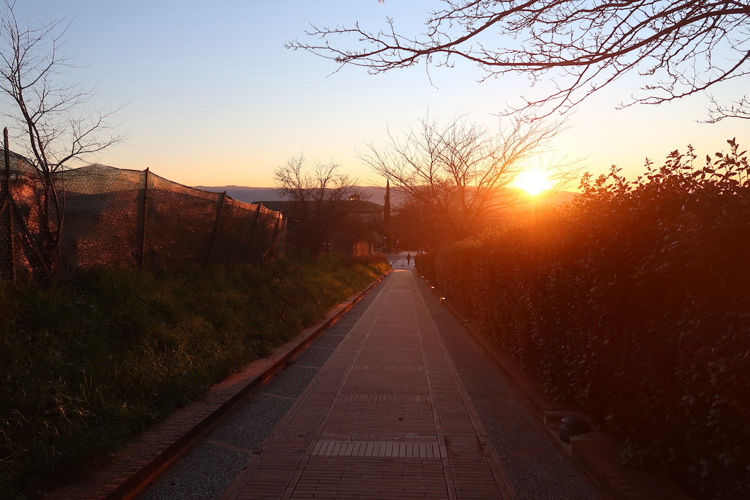あかあかと夕日染めるアッシジと聖フランチェスコ大聖堂へ_f0234936_14461314.jpg