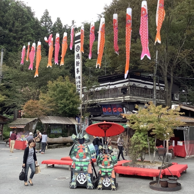 岩国「いろり山賊」ツアー帰りに山賊焼と山賊蕎麦、美味いんだモモ焼が。_a0334793_10371197.jpg