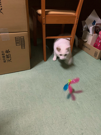 Catch me if you can_f0239100_16081550.jpg