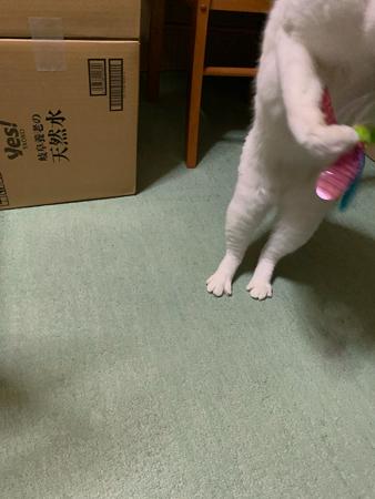Catch me if you can_f0239100_16193629.jpg
