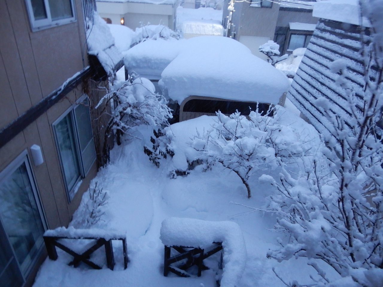 この冬一番の降雪しかも重い_c0025115_20481891.jpg