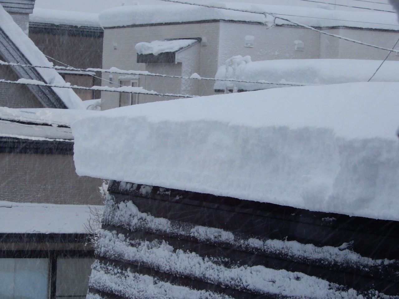 この冬一番の降雪しかも重い_c0025115_20505013.jpg