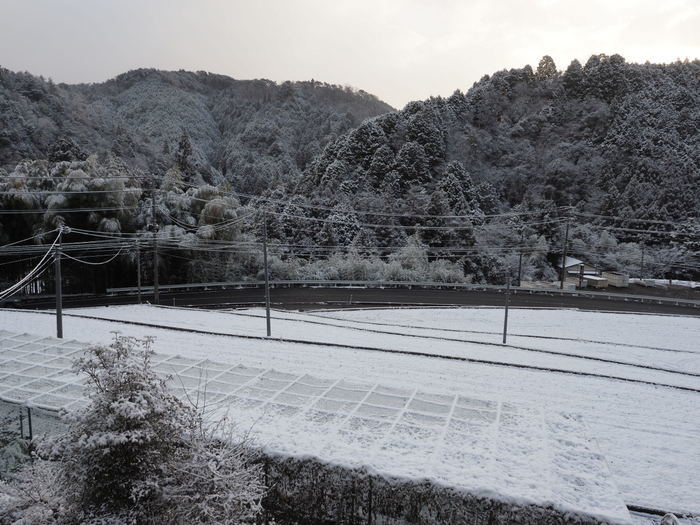 今朝は雪景色_c0116915_22293300.jpg