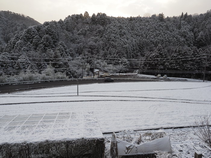 今朝は雪景色_c0116915_22295019.jpg