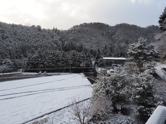 今朝は雪景色_c0116915_22300038.jpg