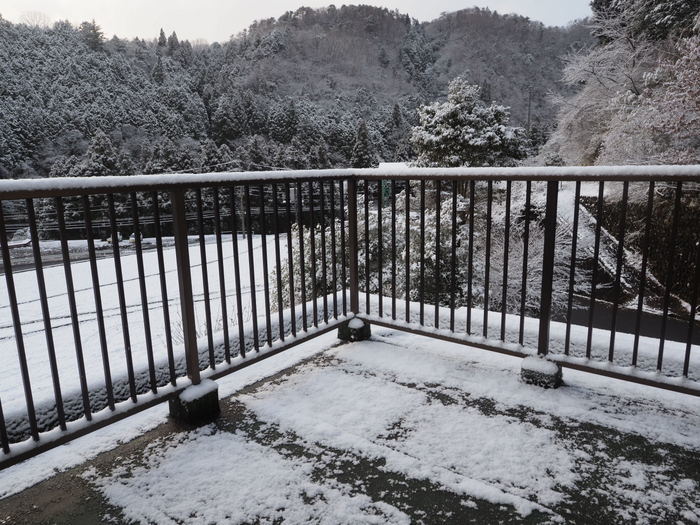 今朝は雪景色_c0116915_22301713.jpg