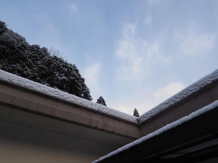 今朝は雪景色_c0116915_22303302.jpg