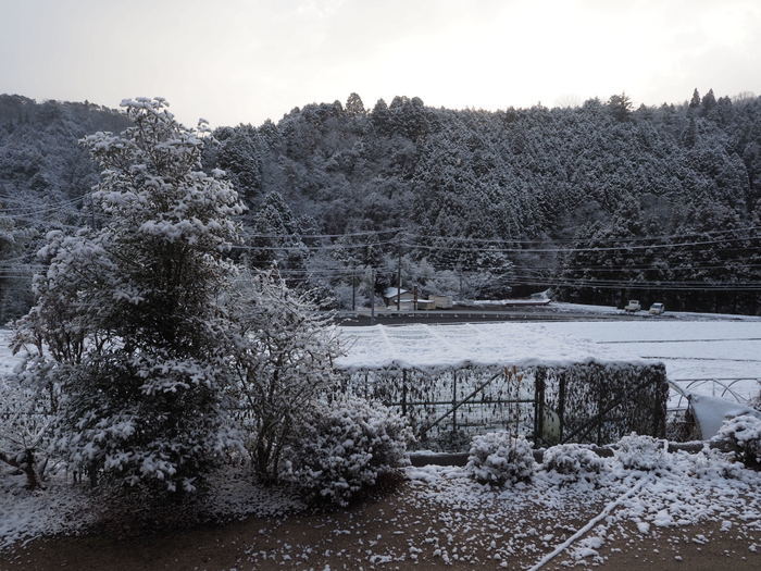 今朝は雪景色_c0116915_22310661.jpg