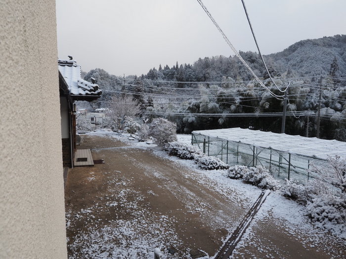 今朝は雪景色_c0116915_22312498.jpg
