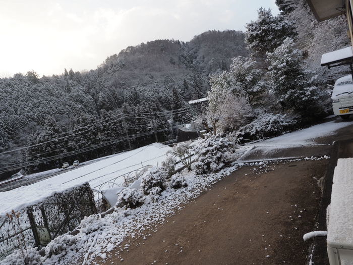 今朝は雪景色_c0116915_22313536.jpg